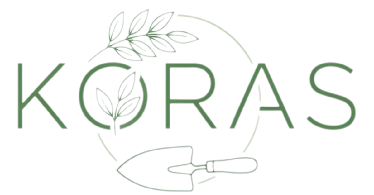 Koras